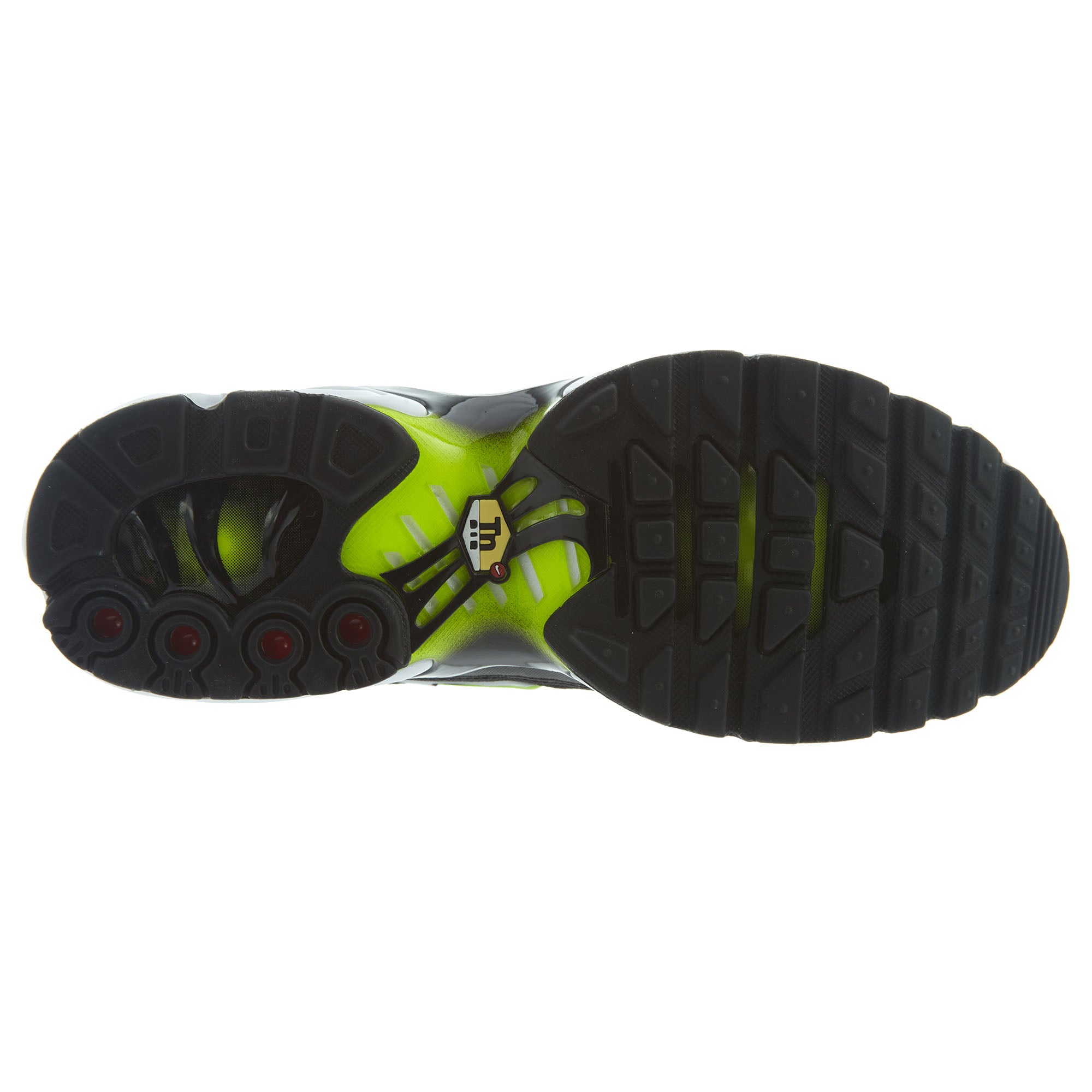 Nike Air Max Plus Boys / Girls Style :655020