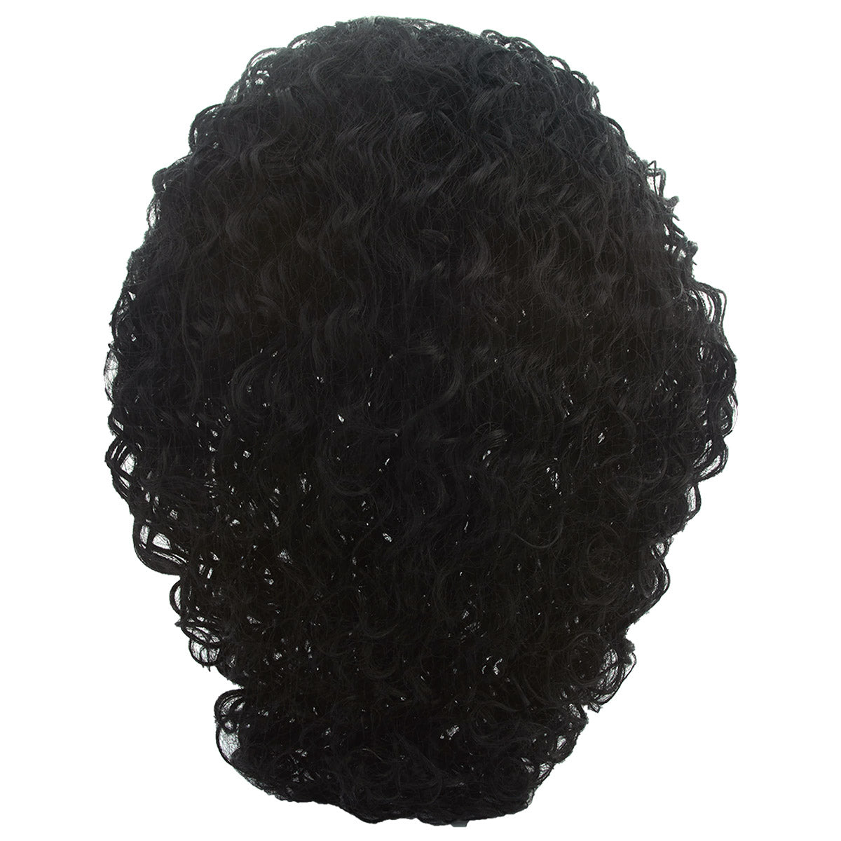 Stylish Women's Black Wig Curly Style Womens Style Hj011984
