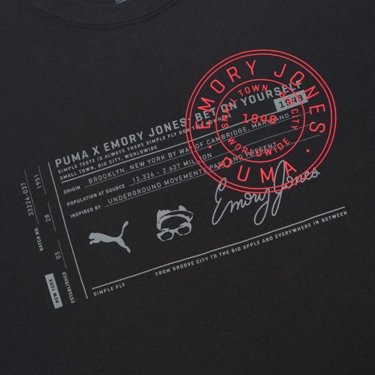 Puma Small Town Big City Tee Mens Style : 578949