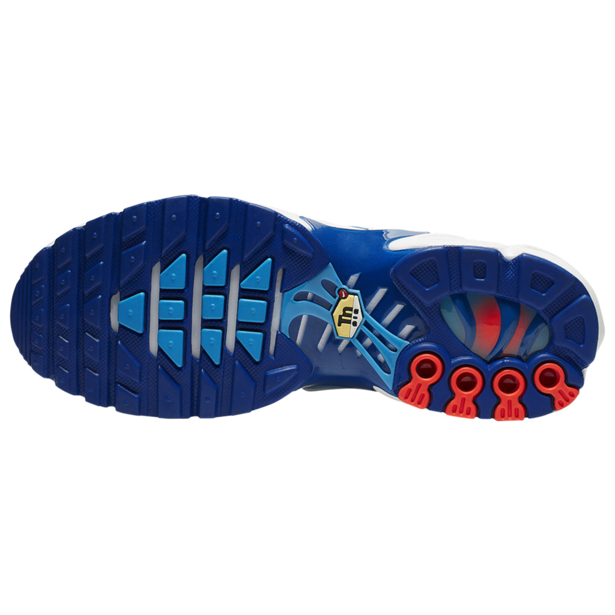 Nike Air Max Plus 3D Glasses (GS)