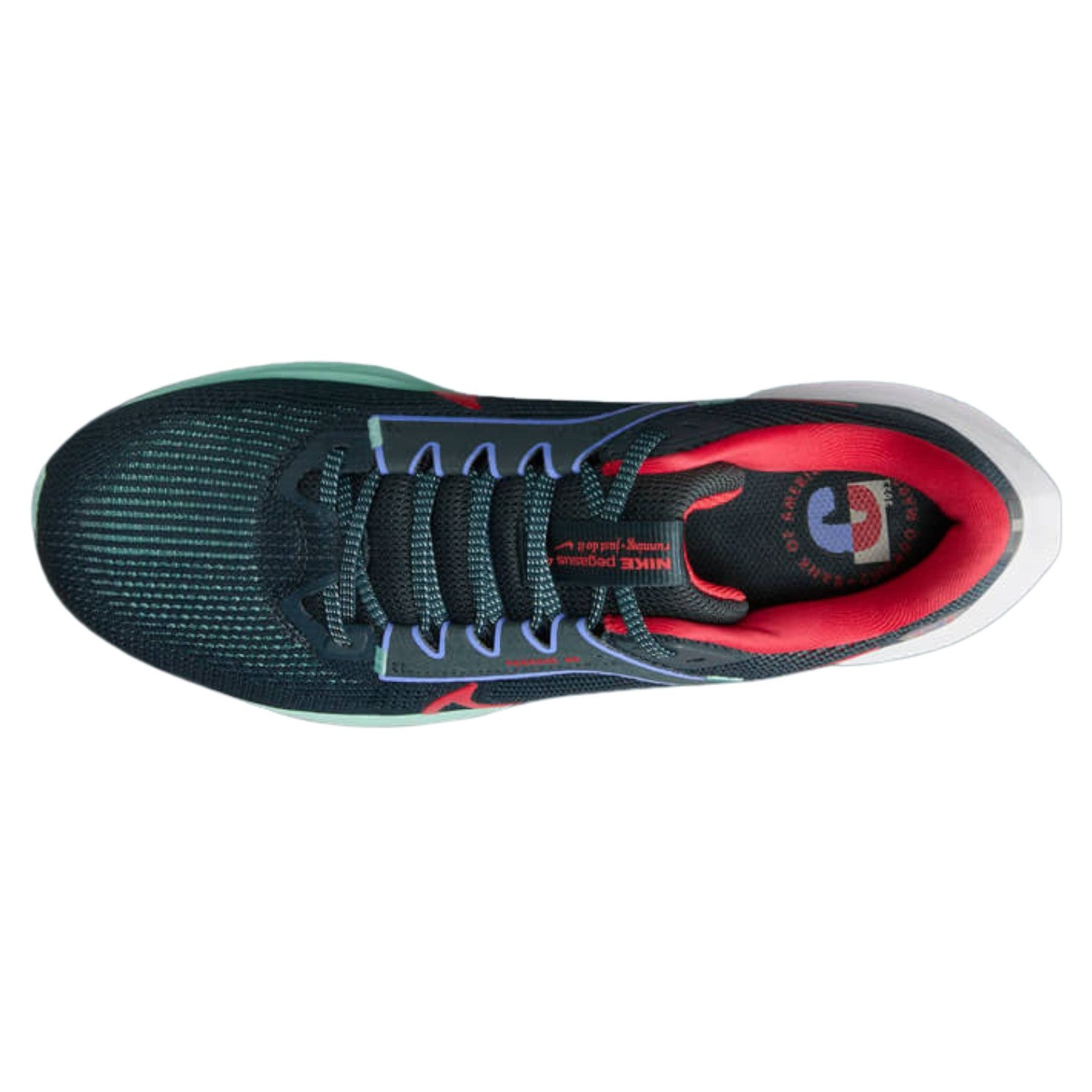 Nike Zoom Pegasus 40 Mens Style : Fn6816