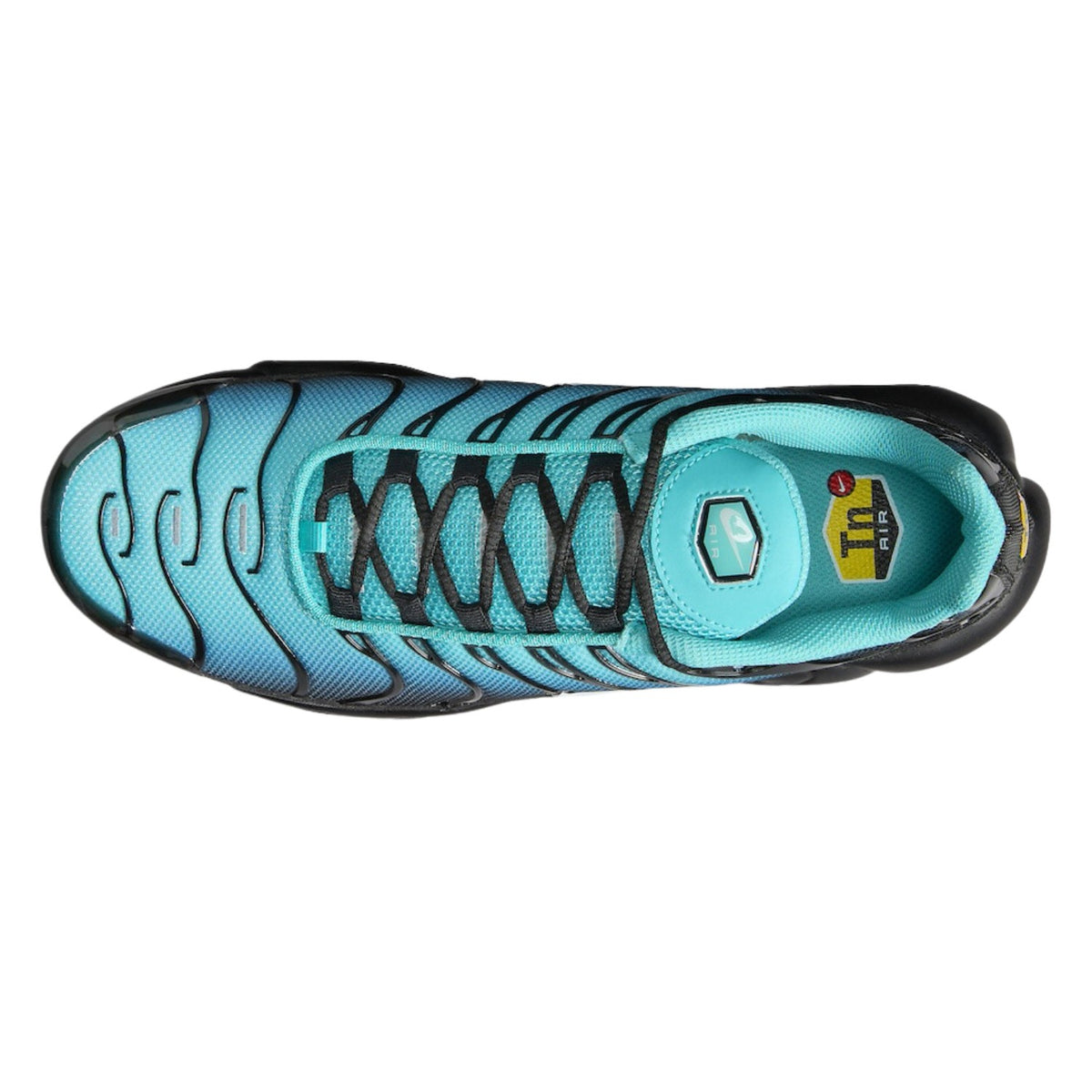 Nike Air Max Plus Mens Style : Dm0032