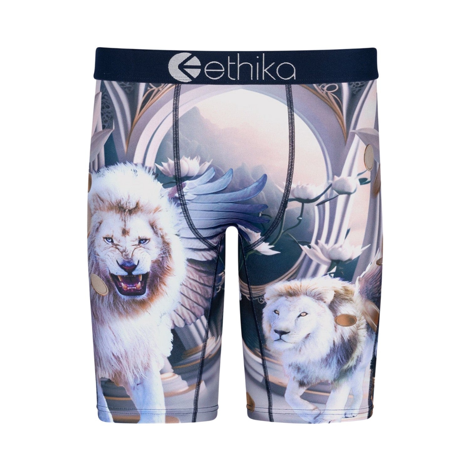 Ethika Heavenly Beasts Boxer Brief Big Kids Style : Blst3149