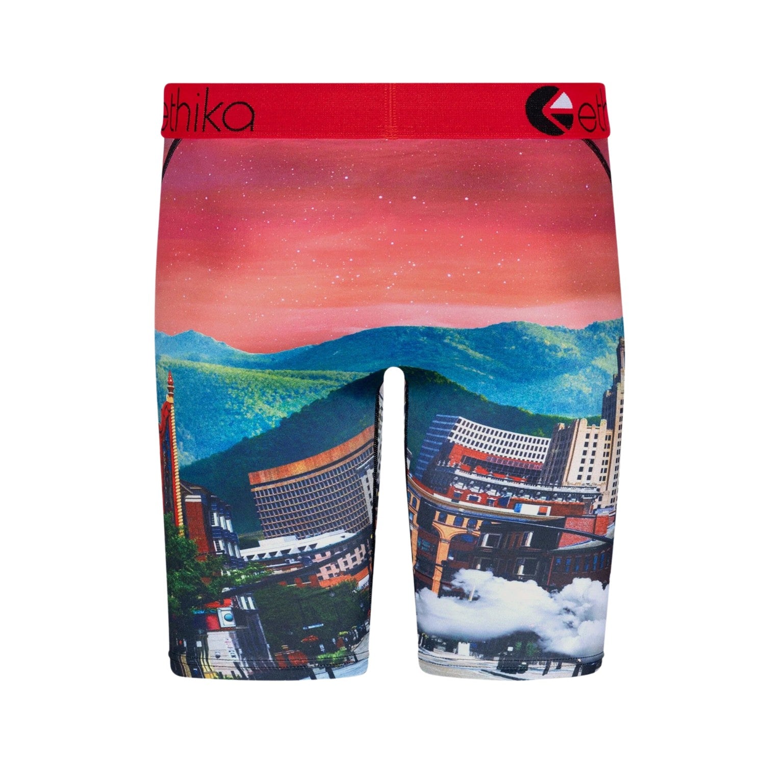 Ethika Astro Zoo Boxer Brief Big Kids Style : Blst3143