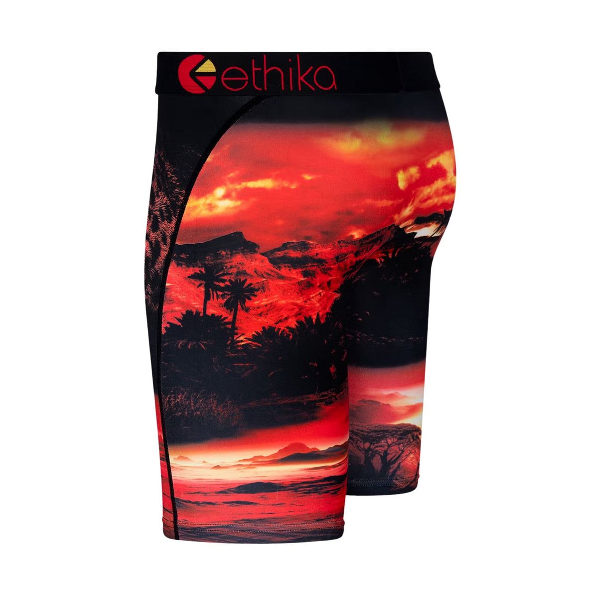 Ethika Dark Safari Staple Fit Boxer Breif Big Kids Style : Blst3167