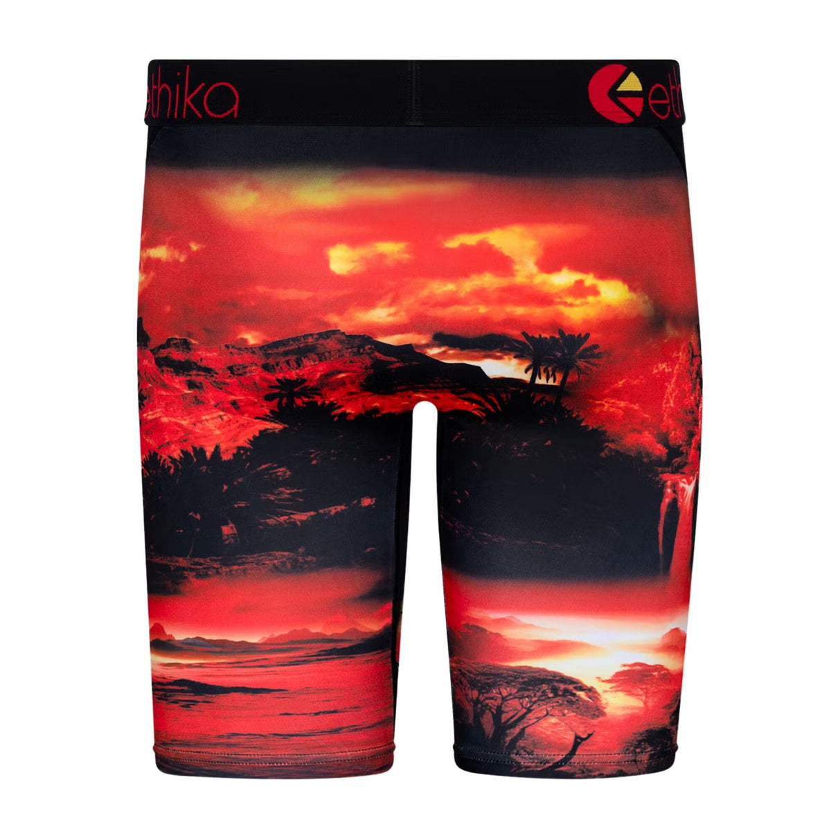 Ethika Dark Safari Staple Fit Boxer Breif Big Kids Style : Blst3167