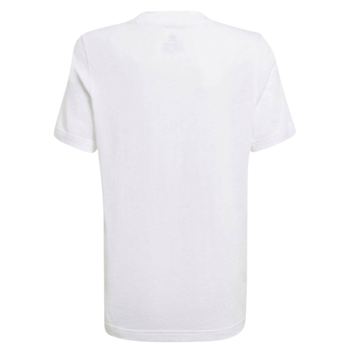 Adidas Graphic Tee Big Kids Style : Gn2302