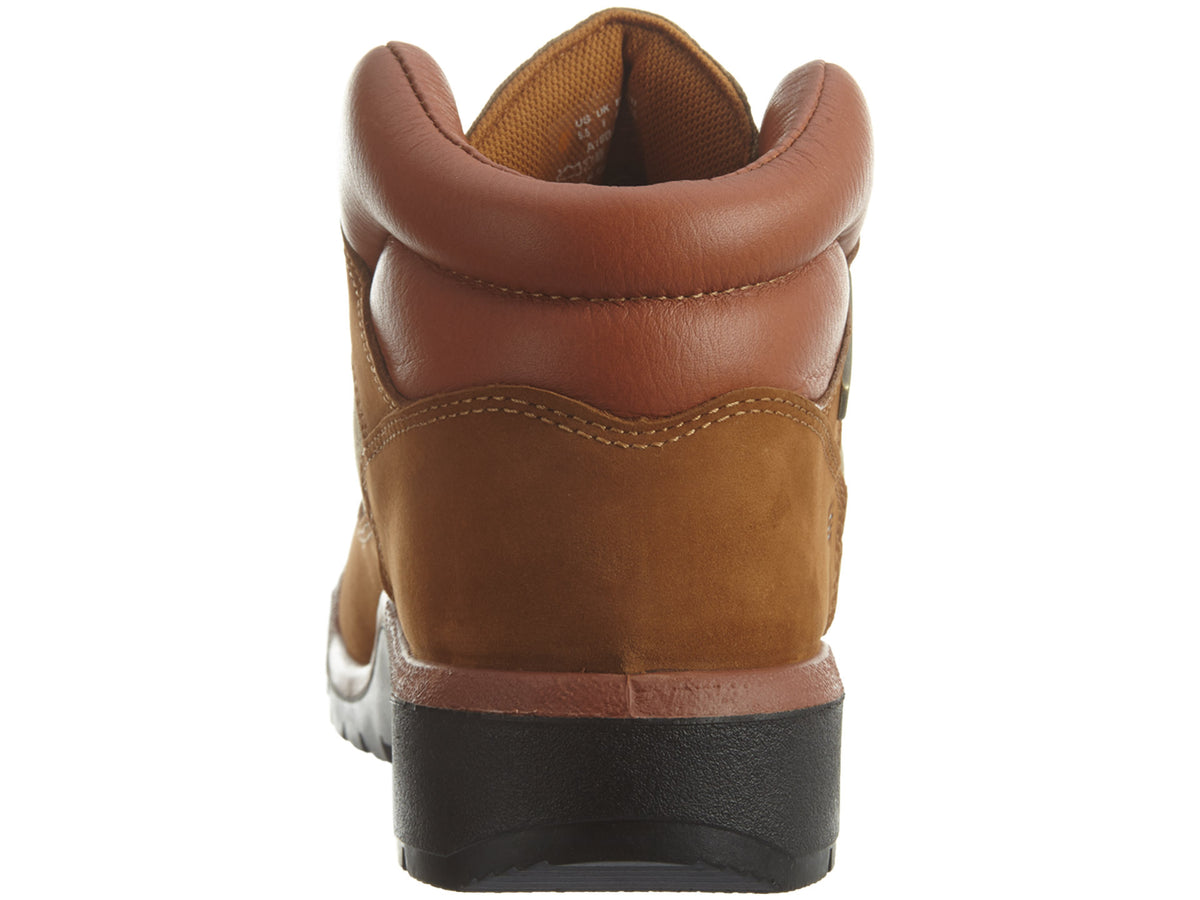Timberland Field Boot Mens Style : Tb0a18b4