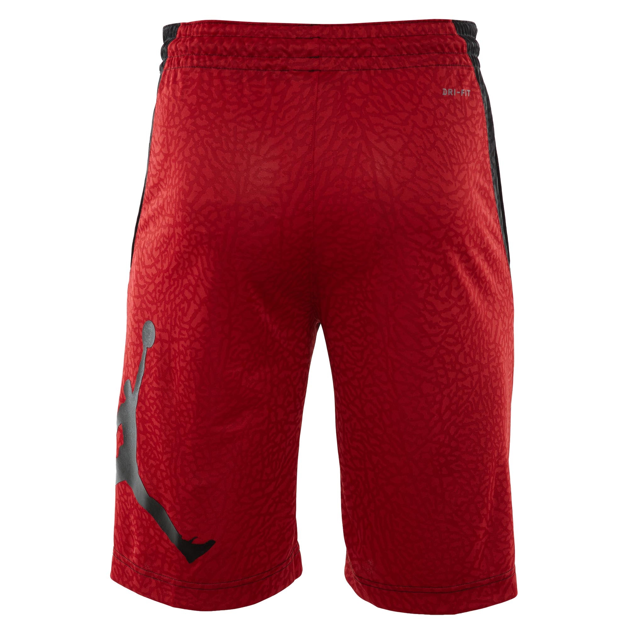 Jordan Rise Vertical Baskrtball Short Mens Style : 861473