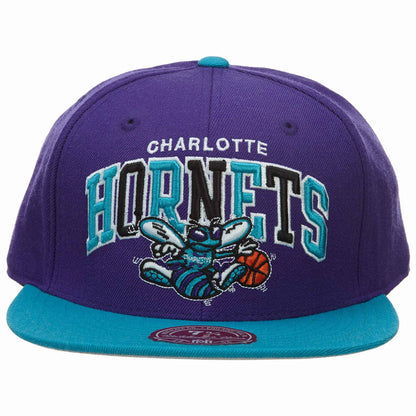 M&amp;N CHARLOTTE HORNETS Style