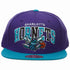 M&N CHARLOTTE HORNETS Style