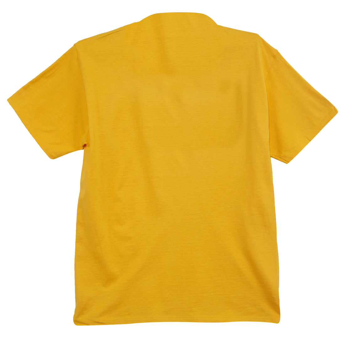 Champion Graphic Jersey Tee Mens Style : Gt23h