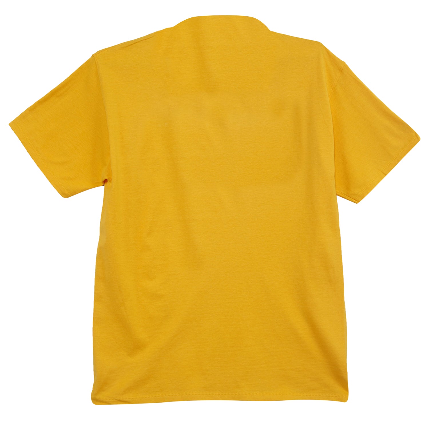 Champion Graphic Jersey Tee Mens Style : Gt23h
