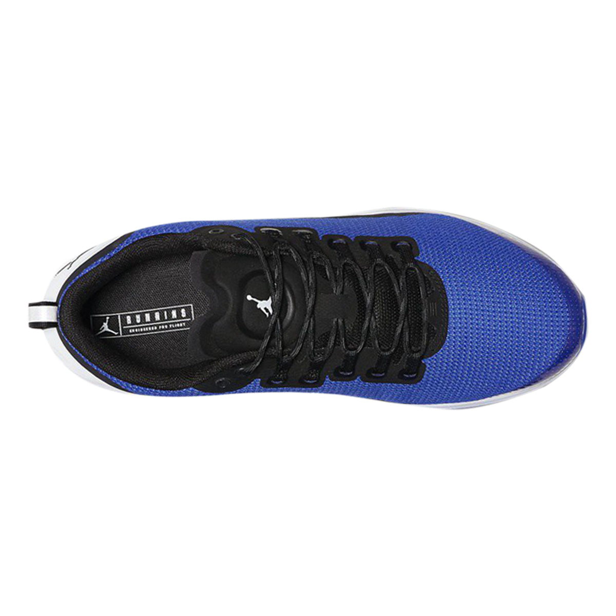 Jordan Zoom Tenacity Hyper Royal