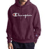 Champion Rw Fleece Pullover Hoodie Mens Style : Gf68y08069