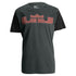 Nike Lebron James Court Vision Dri-fit T-shirt Mens Style : 698664