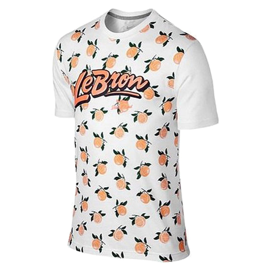 Nike Qt Lebron Floridians Tee Mens Style : 687833