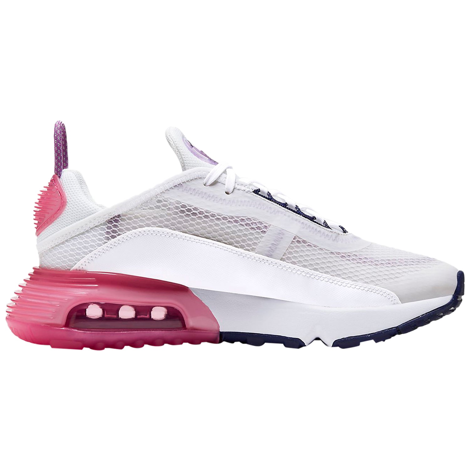 Nike Air Max 2090 Platinum Watermelon Purple (GS)