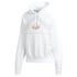 Adidas Ewing Hoody Mens Style : Dv3102