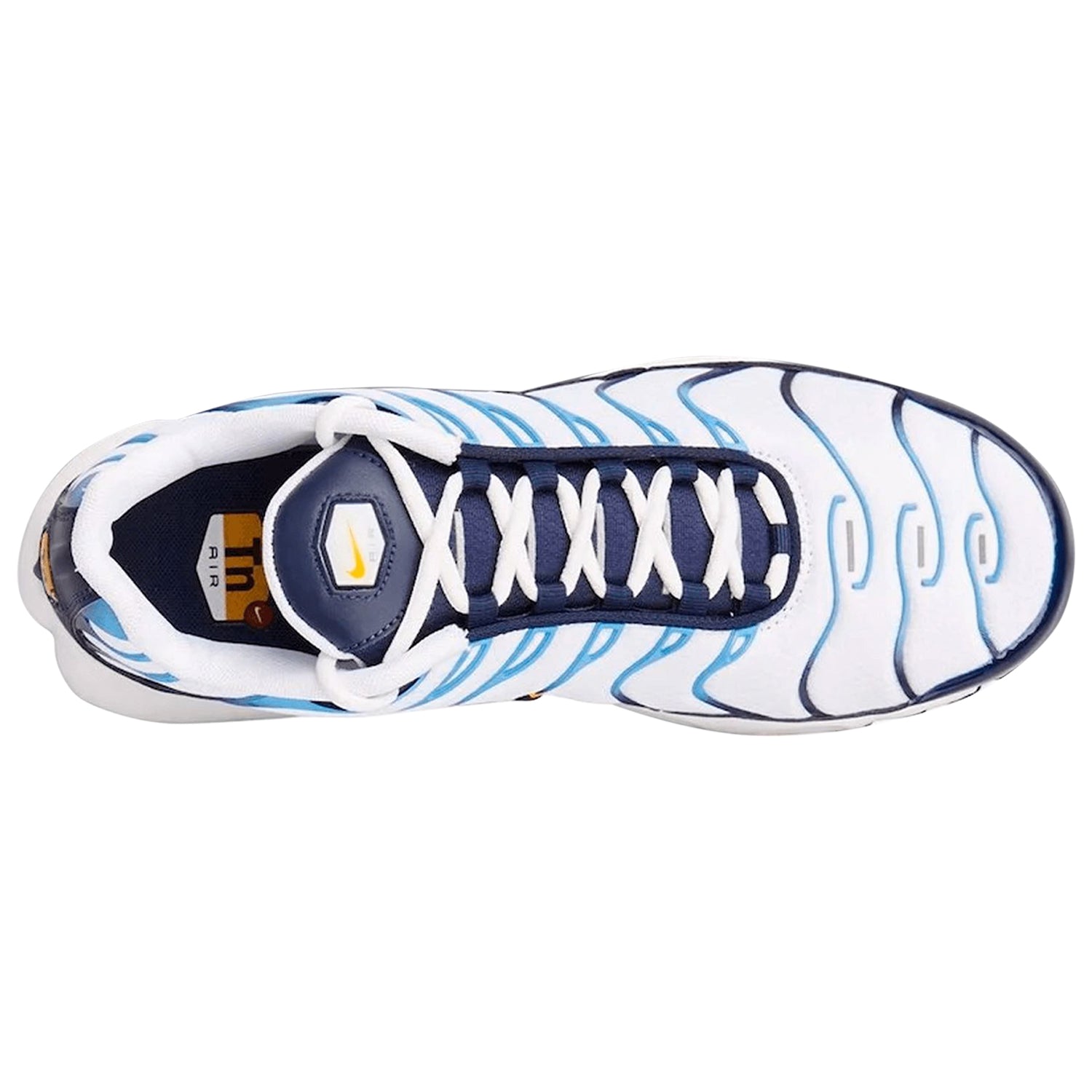 Nike Air Max Plus Big Kids Style : Cd0609-100