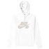 Nike Sb Striped Skate Hoodie Mens Style : Cv0279