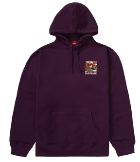 Supreme Butthole Surfers Hooded Sweatshirt Mens Style : Ss21sw83
