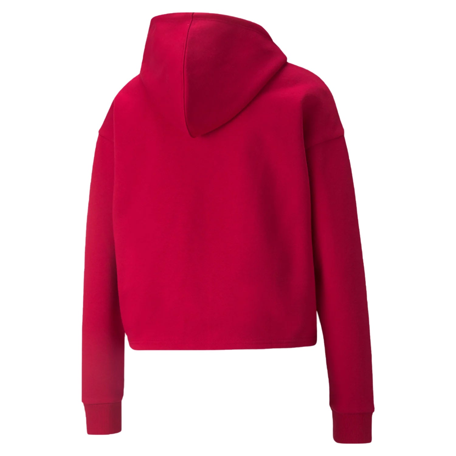 Puma Ess+ Cropped Metallic Hoodie Womens Style : 586891