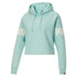 Puma Power Hoodie Womens Style : 846885