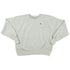 Champion Reverse Weavechr (254) Heavyweight Pullover Sweatshirt  Mens Style 