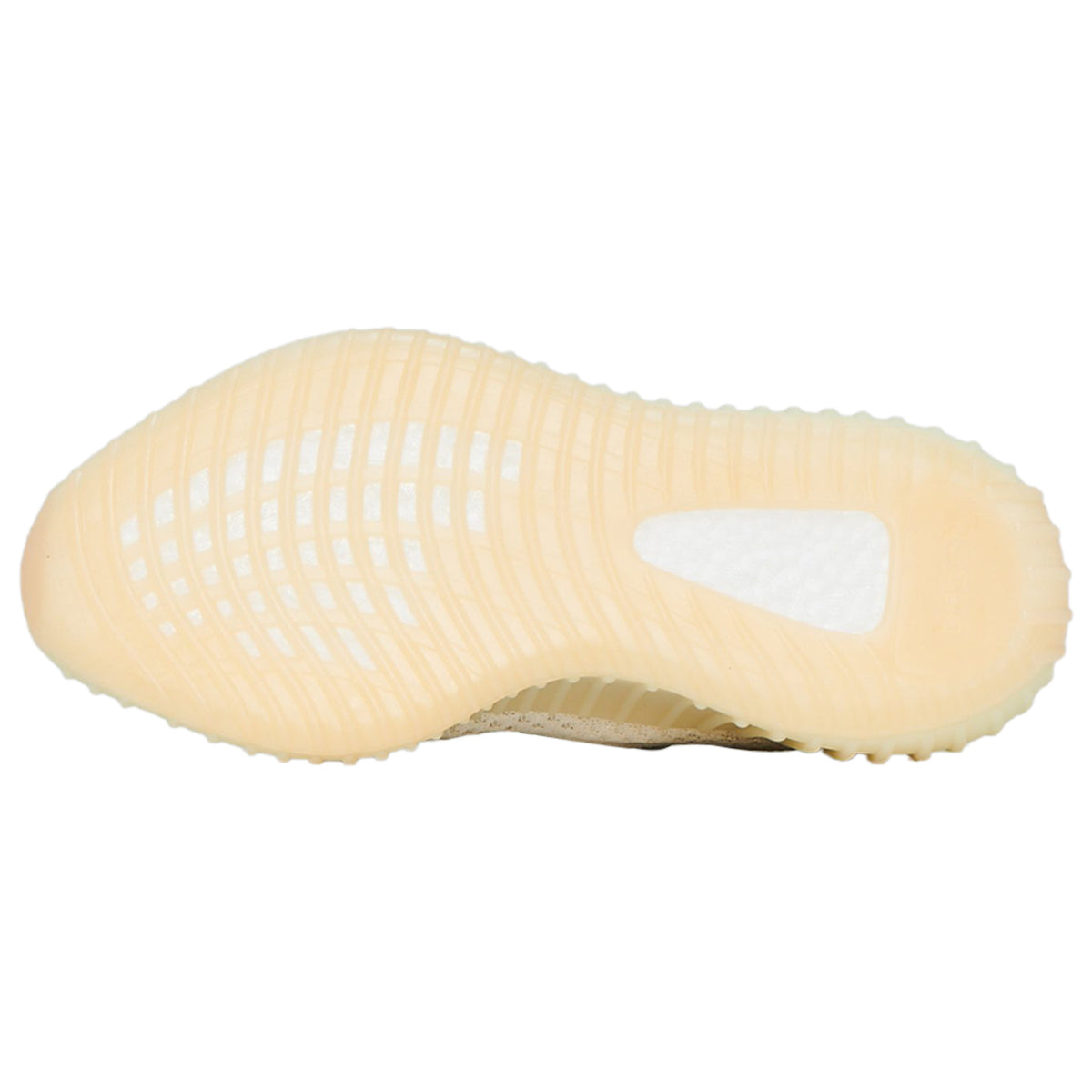 YEEZY BOOST 350 V2 &