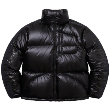 Supreme Hooded Down Down Jacket Black