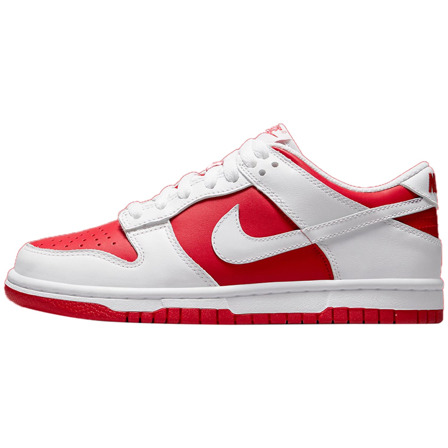 DUNK LOW GS &