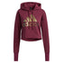 Adidas Holiday Graphic Hoodie Womens Style : H56735