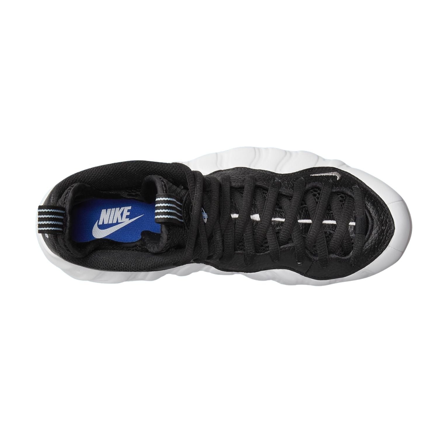 Nike Air Foamposite OnePenny PE