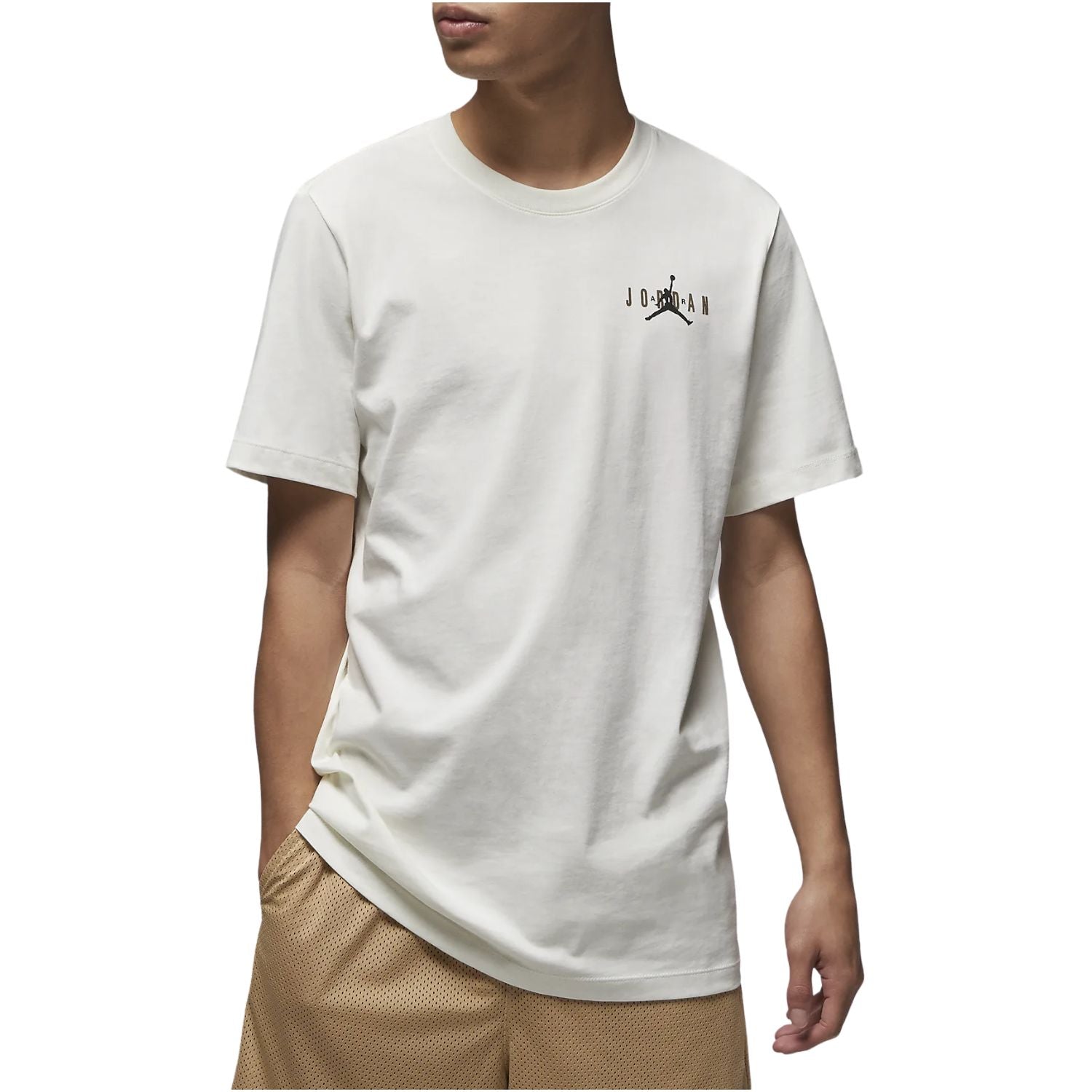 Jordan Essentials T-shirt Mens Style : Dv8422
