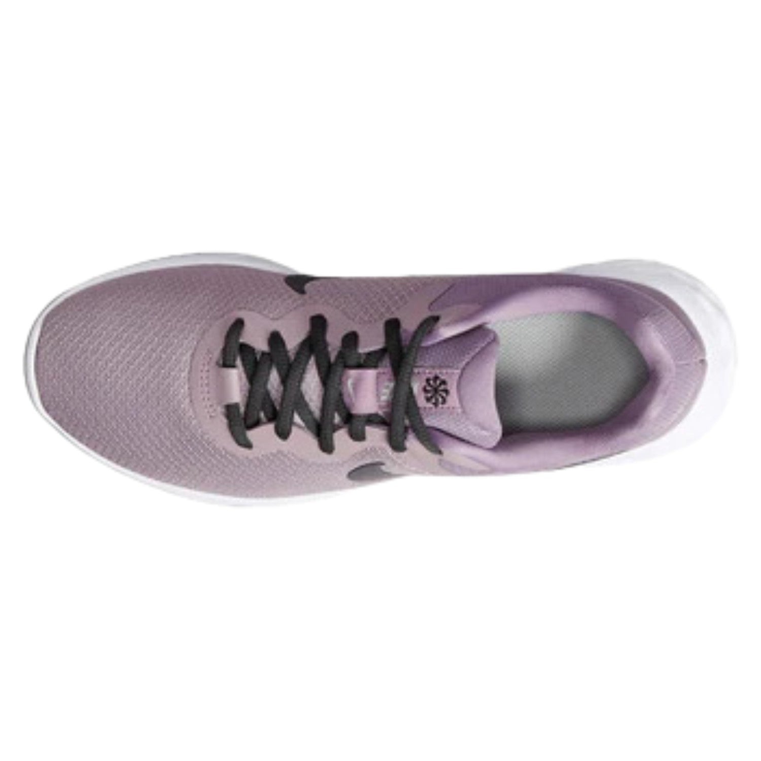 Nike Revolution 6 Nn Womens Style : Dc3729-502