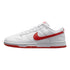 Nike Dunk Low Retro Mens Style : Dv0831-103