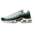 Nike Air Max Plus Mens Style : Dm0032