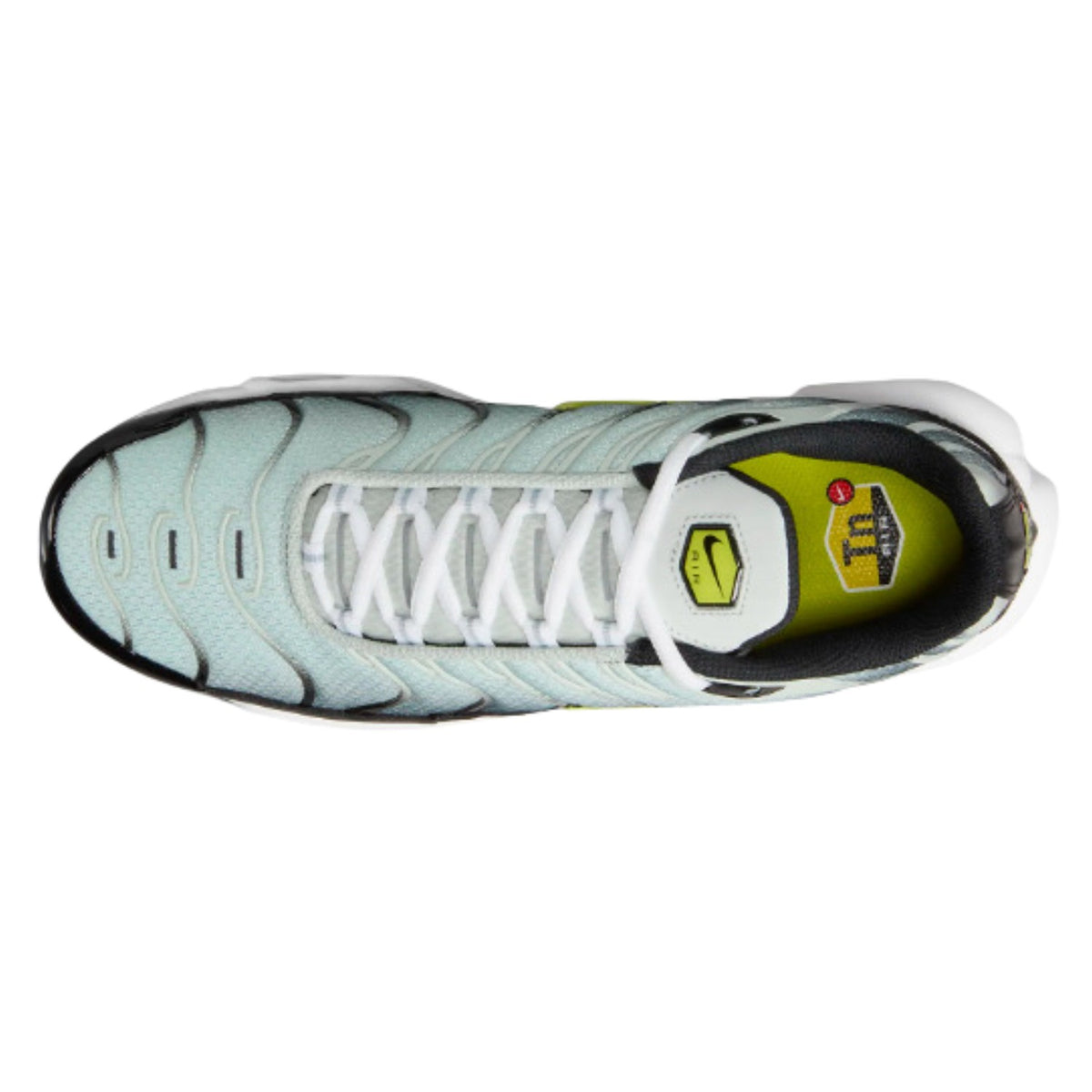 Nike Air Max Plus Mens Style : Dm0032