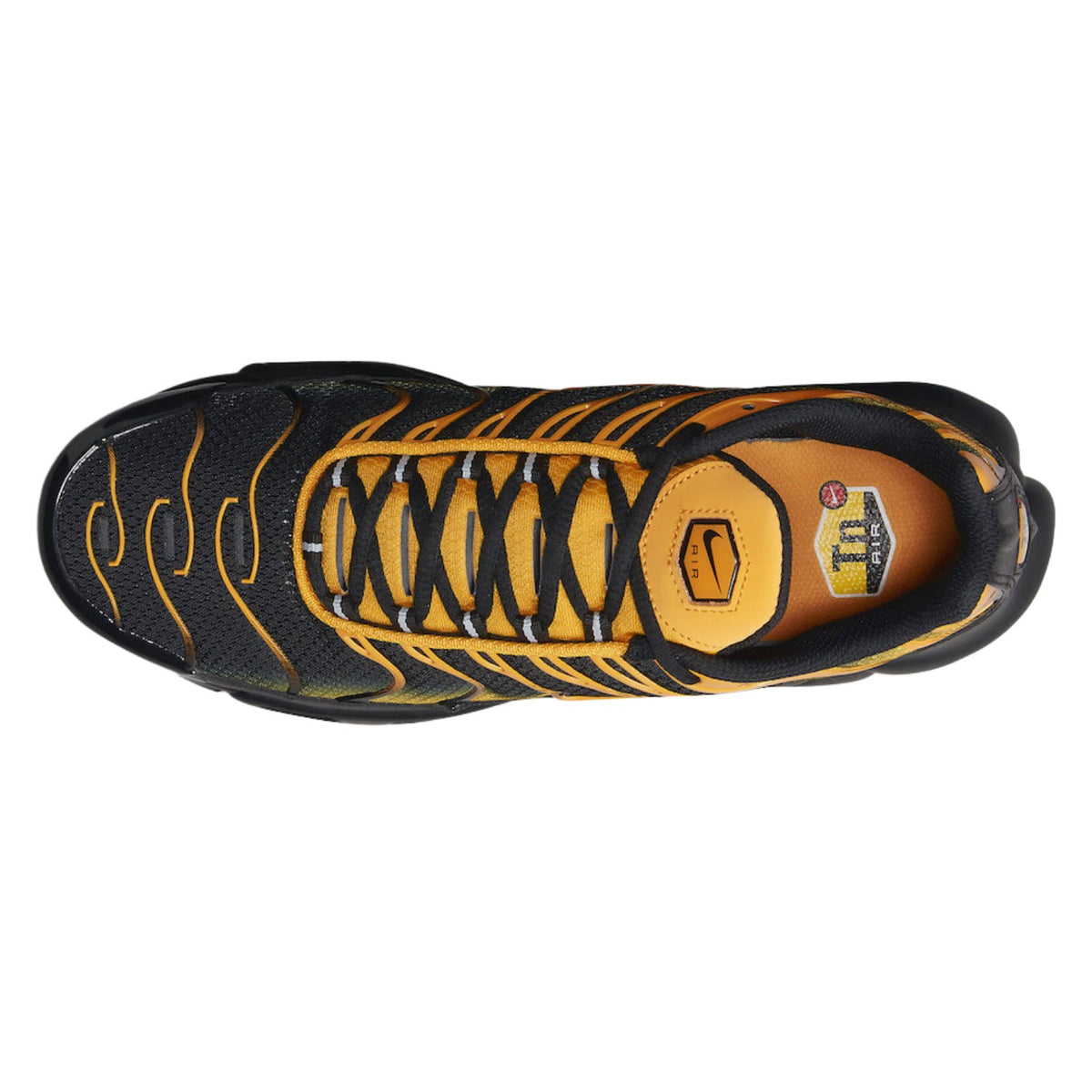 Nike Air Max Plus Mens Style : Dm0032