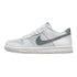 Nike Dunk Low Gs Big Kids Style : Fv0365