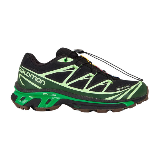 Salomon Advanced XT-6 Gore-Tex Eden Green Ash