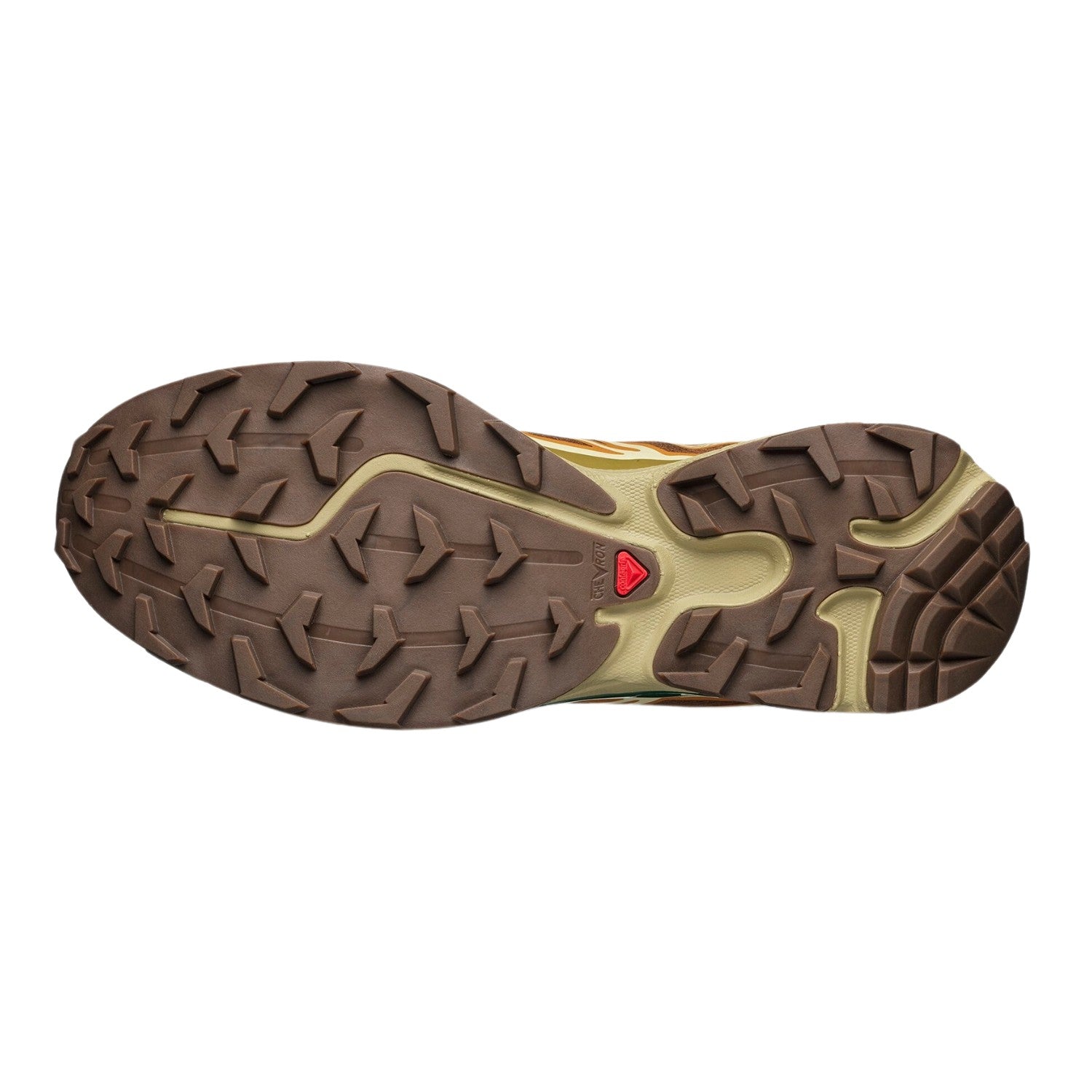 Salomon XT-6 Rubber Lizard