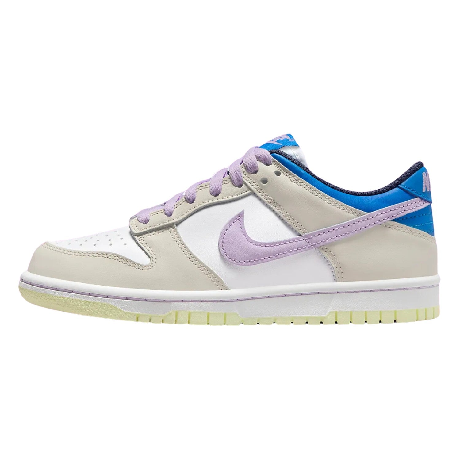 Nike Dunk Low (Gs) Big Kids Style : Fb9109