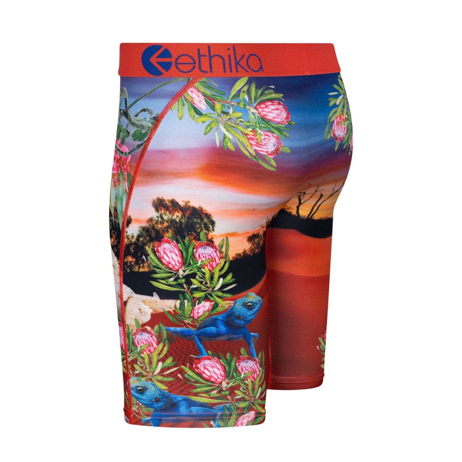 Ethika Outback Staple Fit Boxer Brief Mens Style : Mlus3256