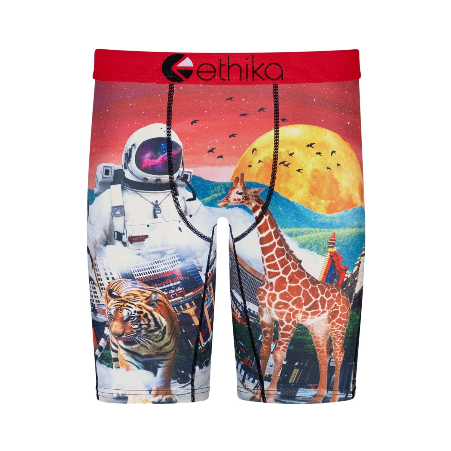 Ethika Astro Zoo Boxer Brief  Big Kids Style : Blst3143