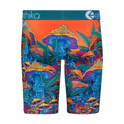 Ethika Psychedelic Field Staple It Boxer Briefs Mens Style : Mlus3332