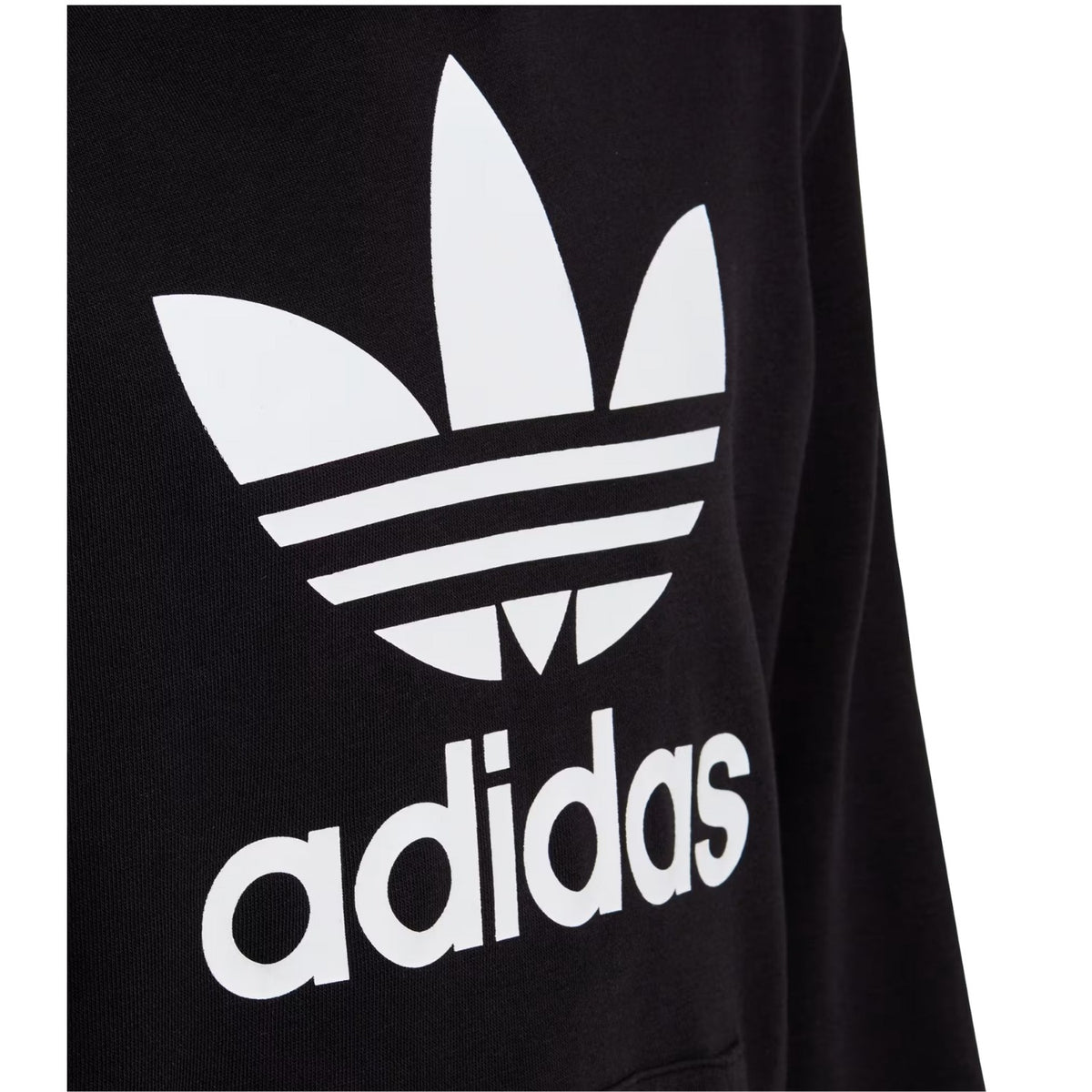 Adidas Trefoil Hoodie Big Kids Style : Dv2870