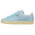 Puma Suede Faded Mens Style : 399654