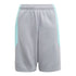Adidas Spirit Gfx Shorts Big Kids Style : Gn2313